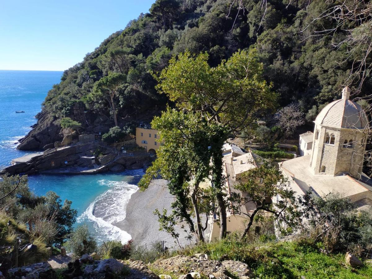 Appartement Casaviva - Magical Bilo In Camogli Extérieur photo